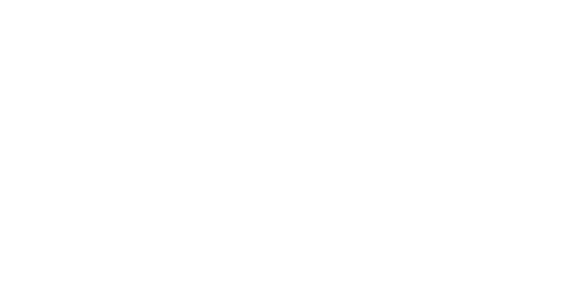 Grupo Previx